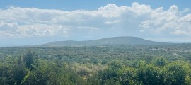 4 bedrooms AirBnB Muiga, Nyeri, Kenya